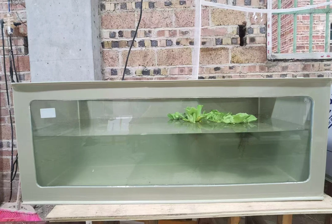 玻璃高清单面可视化PP胶龟箱鱼箱