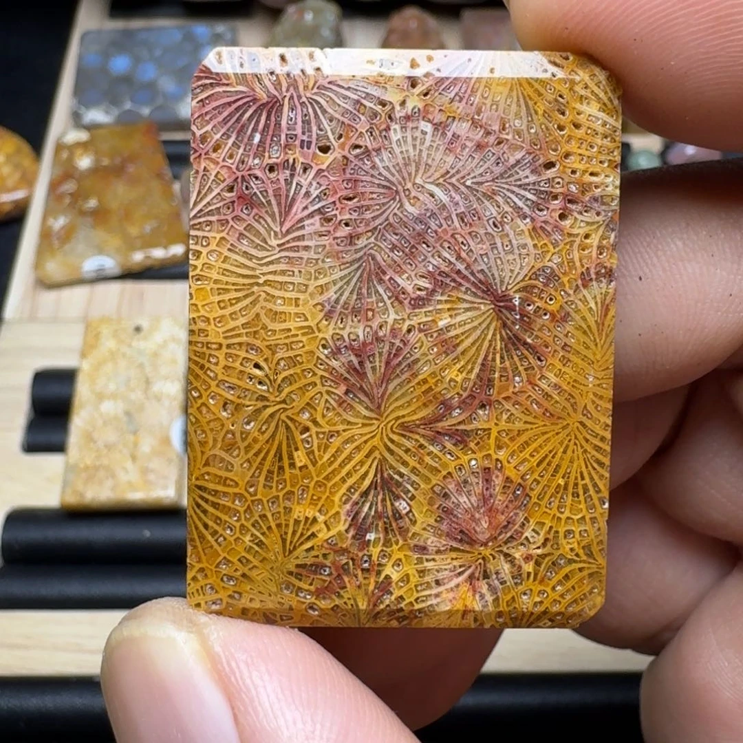 未镶嵌纯天然色有机玉石保真色硅化玉