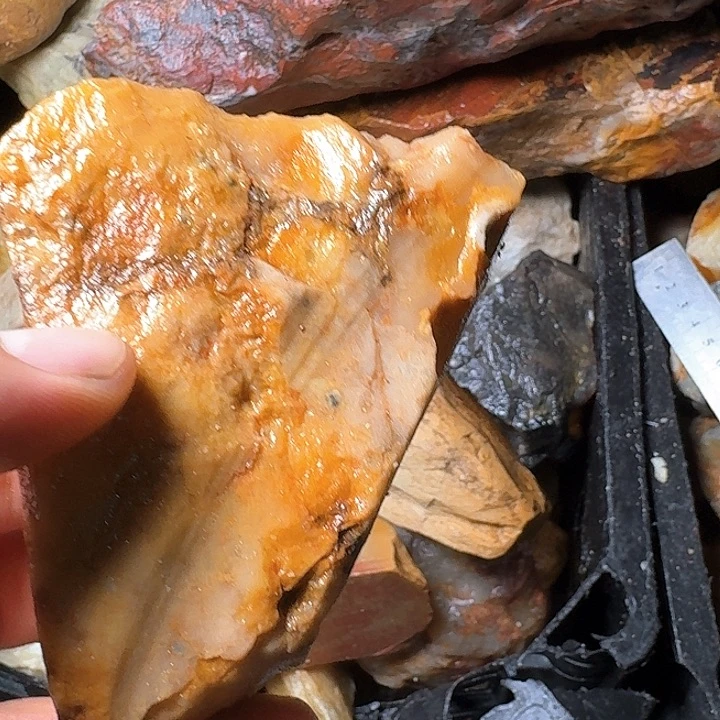 聚***堂寿山石寿山石的种类