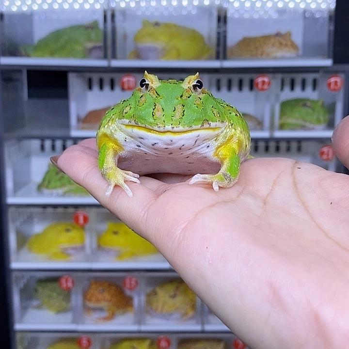 特价秒杀现货特价