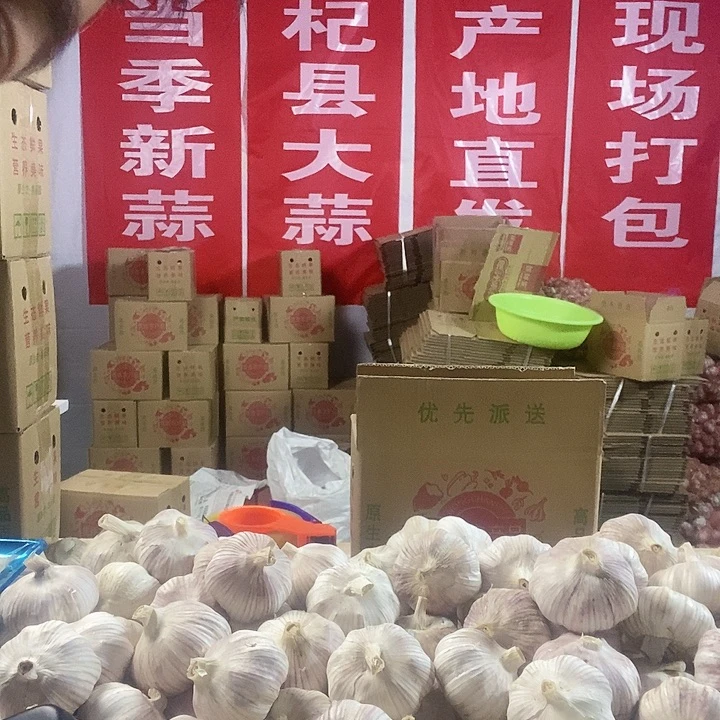 中国大陆紫皮大蒜 杞县原产地直发