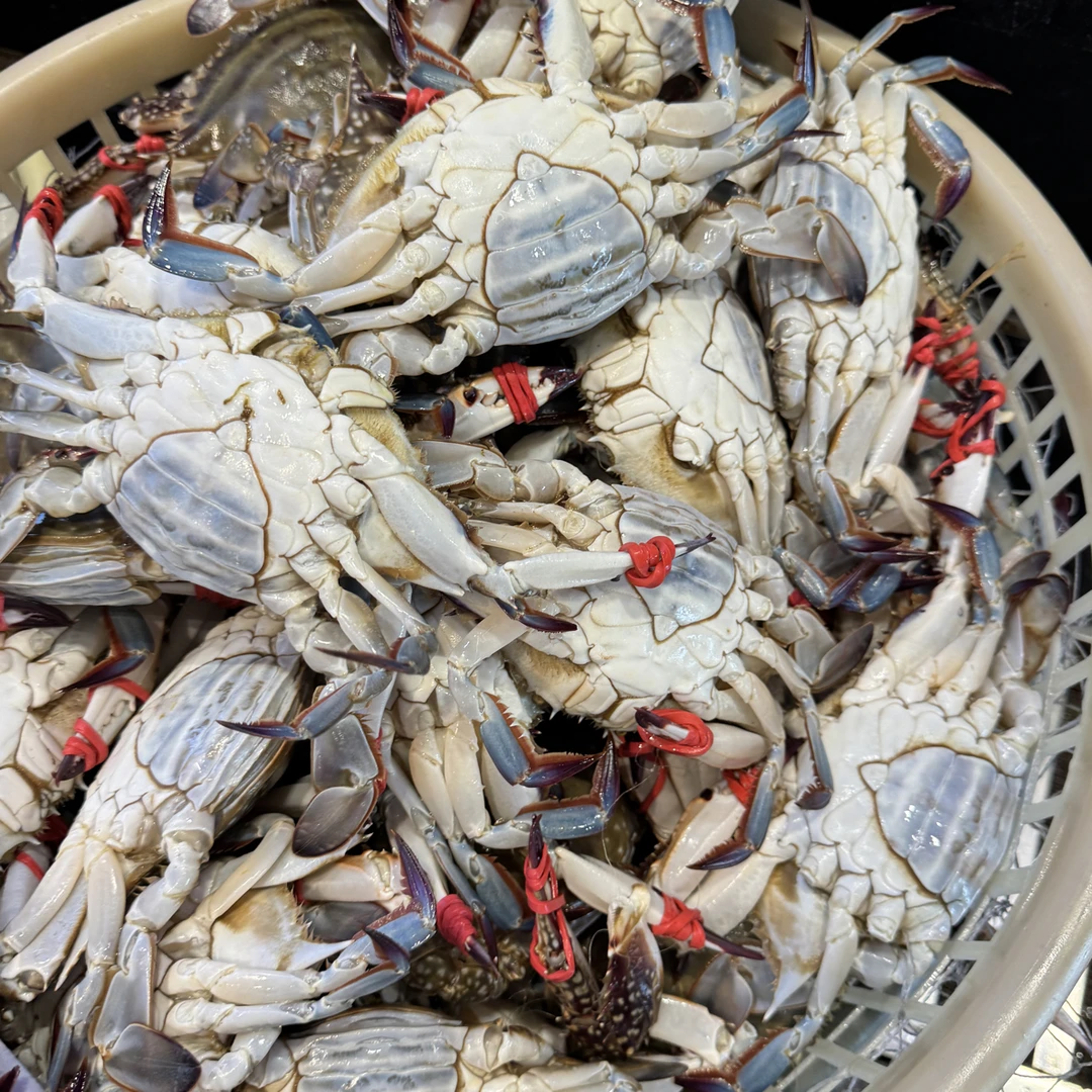 刚牺牲的肉母108三斤【保鲜不保活】5两左右大约6只