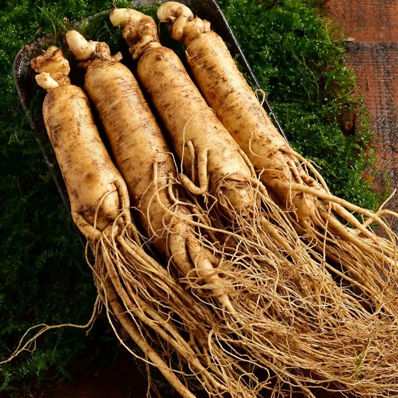 长白山现挖小鲜参花旗参西洋参半斤装15-18只左右顺丰发货