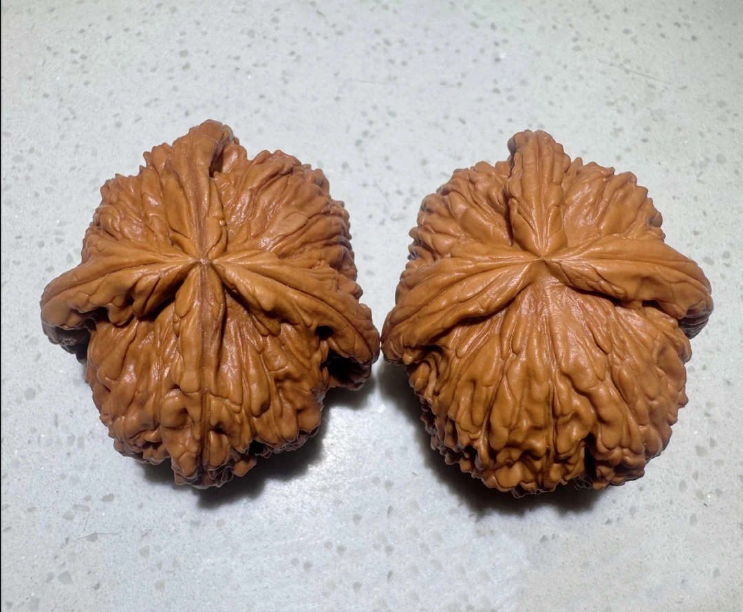 46-51-36尺白狮子1314，文玩核桃(四棱微修)