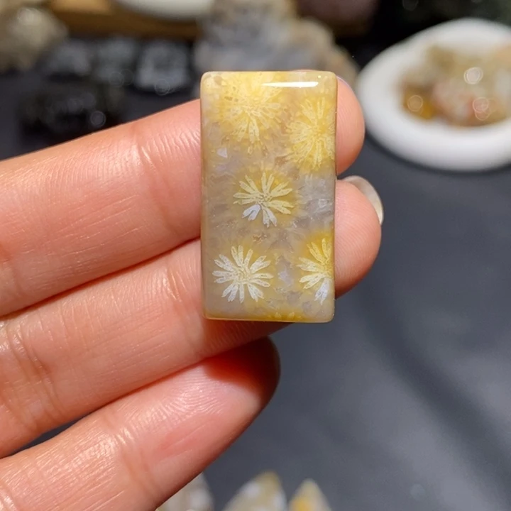 【闪购商品】未镶嵌珊瑚玉硅化玉