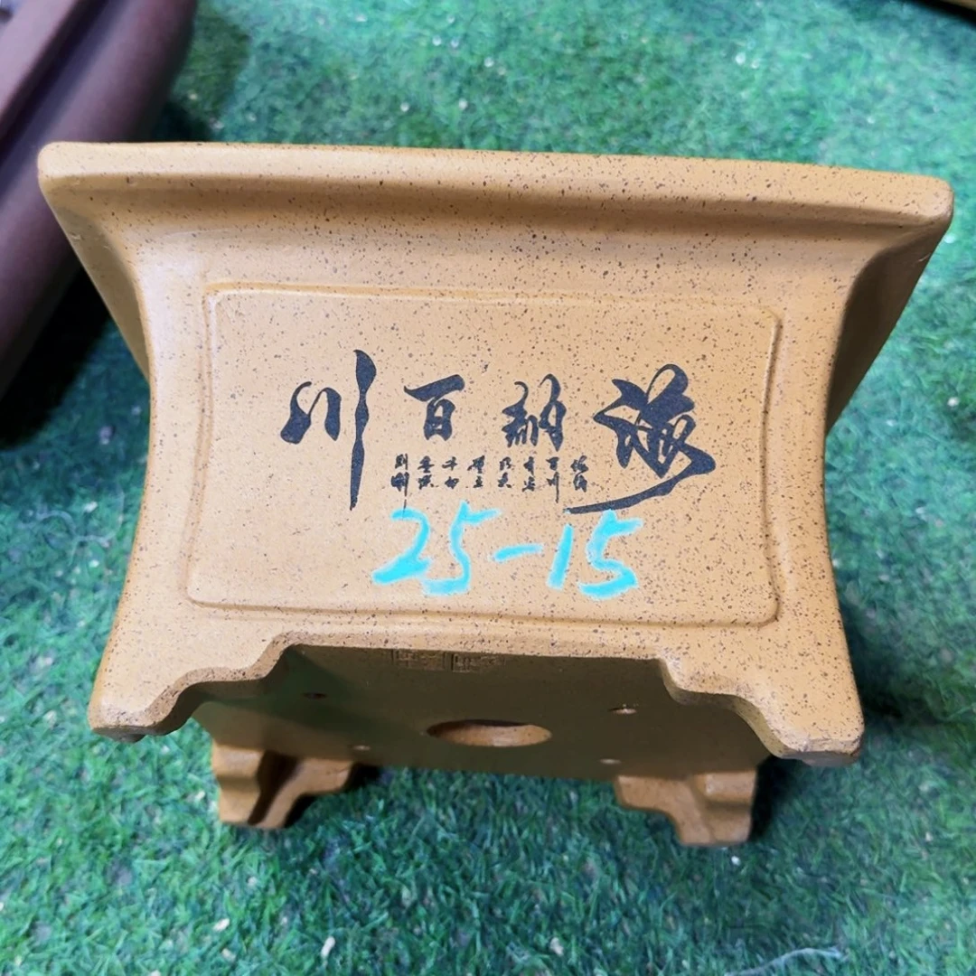 花盆紫砂紫砂花盆