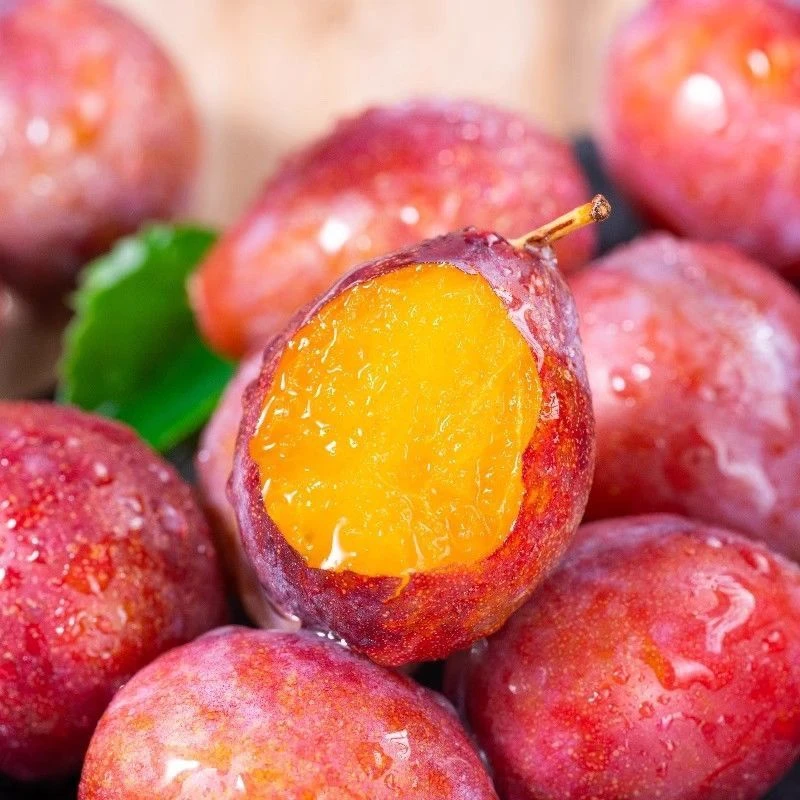 智利西梅新鲜法兰西西梅超甜应季水果2/5斤装