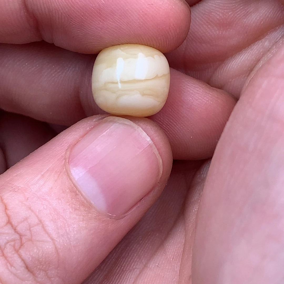 琥珀裸石未镶嵌眷*蜜蜡