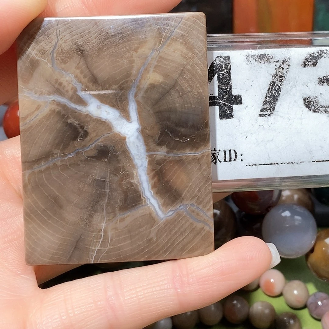 未镶嵌天然北票树化玉吊坠硅化玉