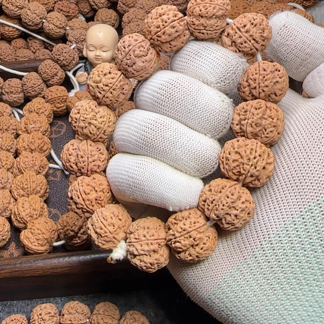 菩提金刚菩提23梅花