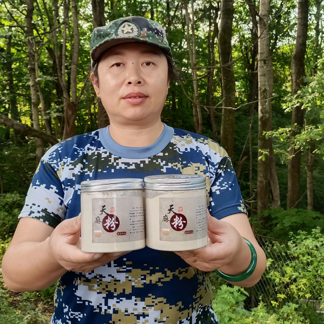 长白山深山林下天麻打粉味浓