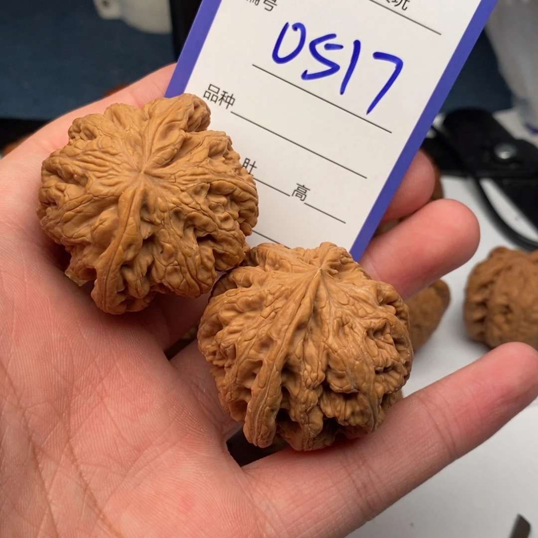 文玩核桃把件0517