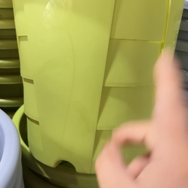 编号801果绿无托4个