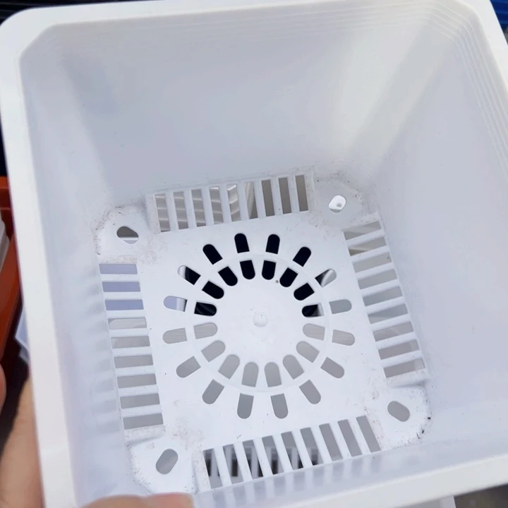 塑料白方口17高11一组10