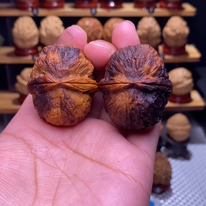 Q***上木质类云铁乌巢166号