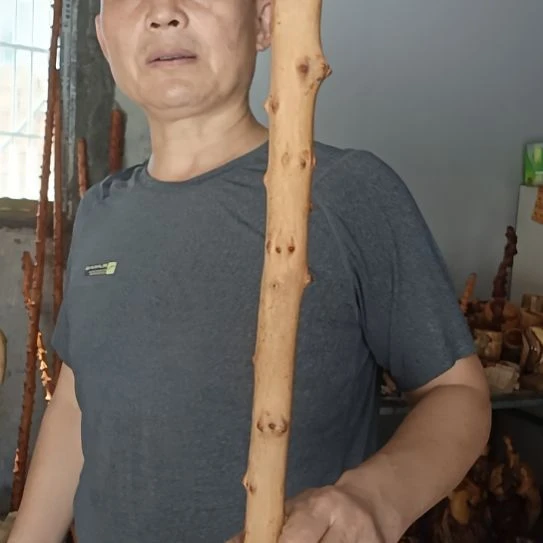 笑***爷木高山 檬子木文玩料