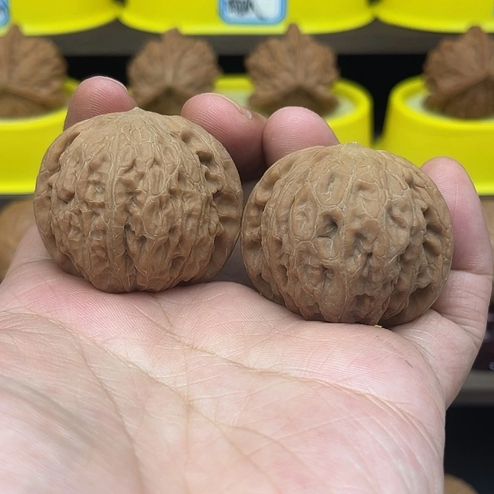 41边39肚全品铁锤，精对