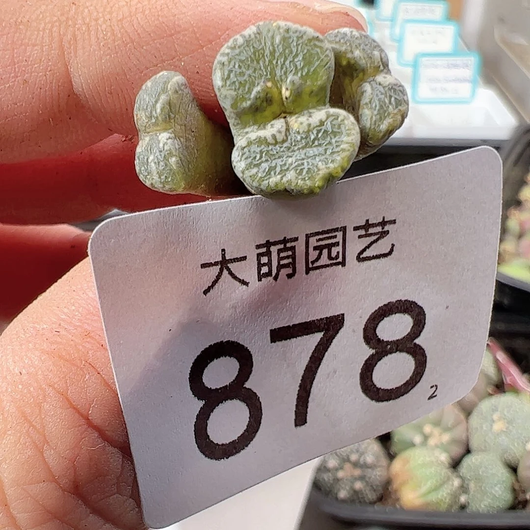 0000878 一物一拍……