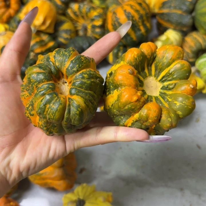 *****嗯嗯呃呃呃饿哦饿哦饿哦