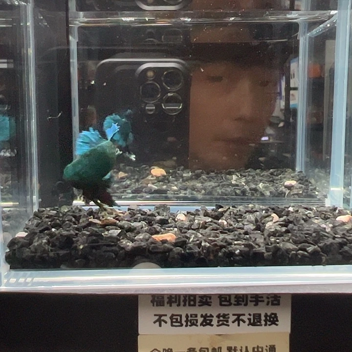 斗鱼竞拍跑单拉黑26日127