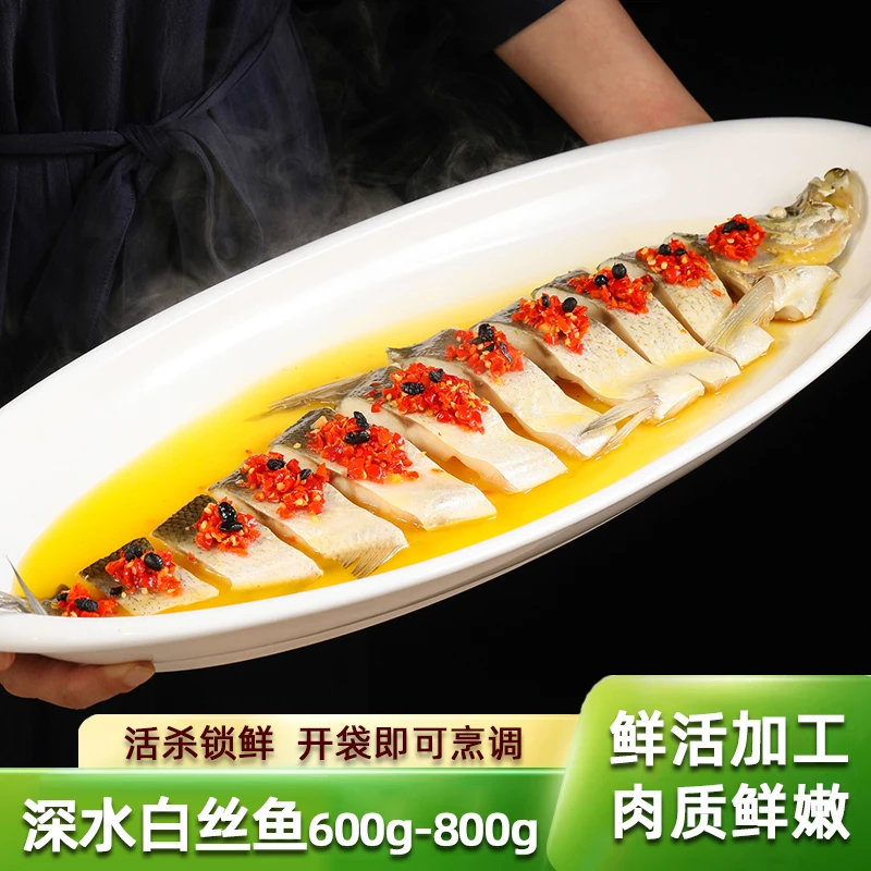 高端白丝鱼半成品正宗白丝鱼翘嘴鱼冰鲜大白鱼大白刁白条鱼清蒸鱼