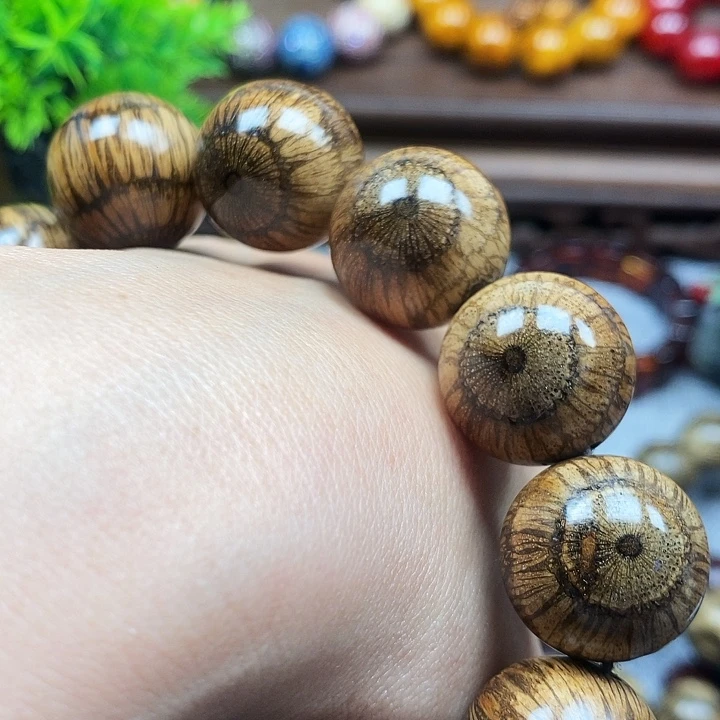 无***鸟手串/手链藤类买麻藤