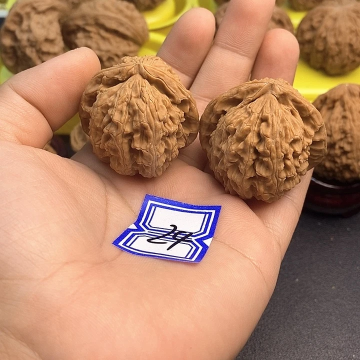 把件文玩核桃38白狮子