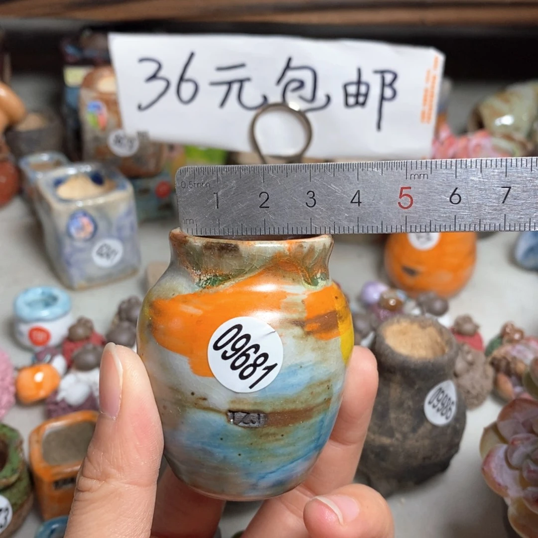 拍5送一个小礼物