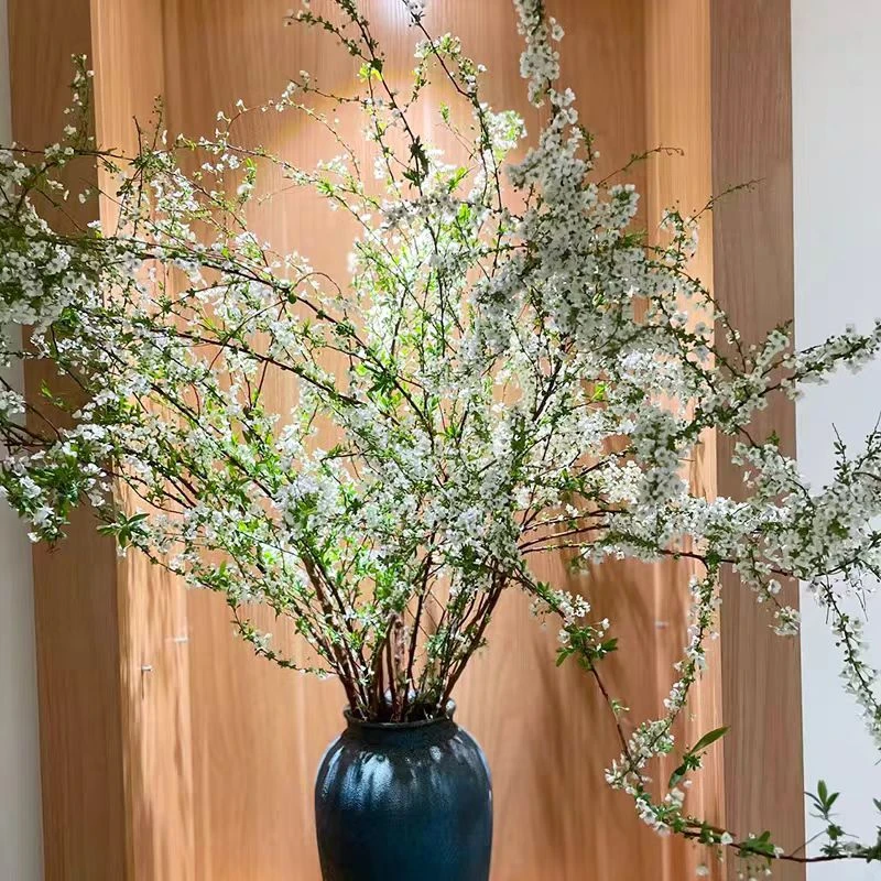 重瓣雪柳干枝花雪柳枝条水培植物鲜花卉室内盆栽绿植龙柳好活