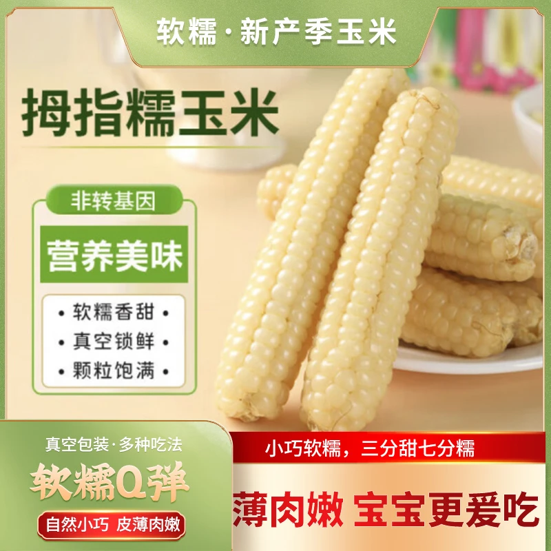 云南西双版纳拇指小玉米软糯香甜早餐代餐健康粗粮（12cm以上）