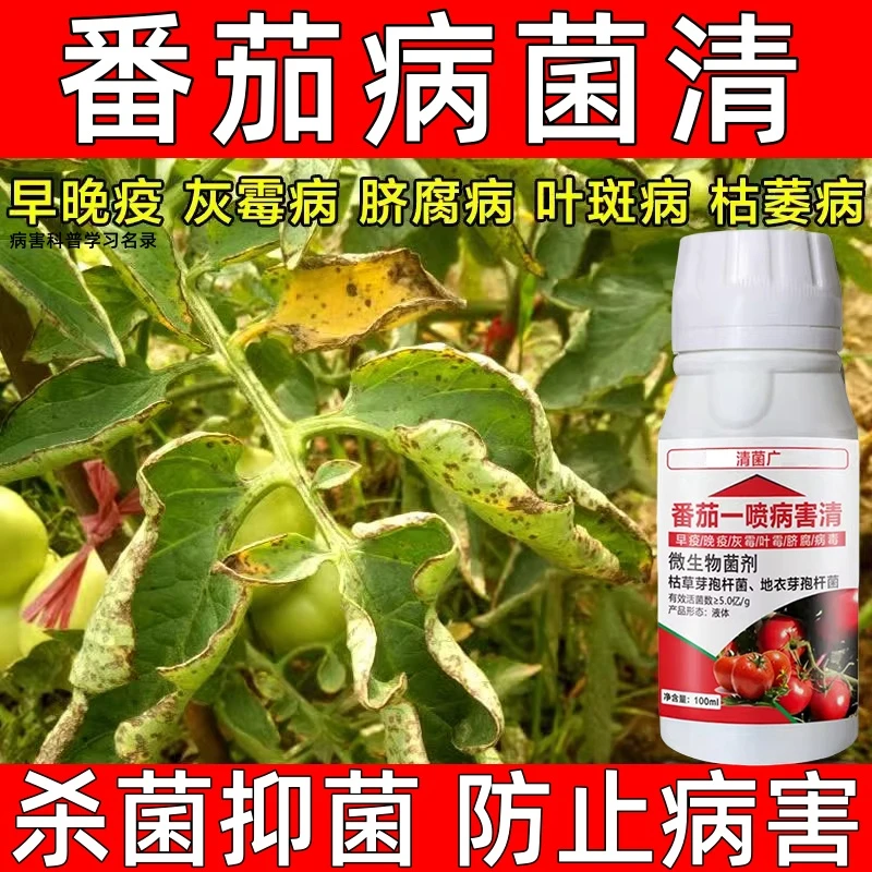 番茄病毒病防治药番茄疫病卷叶黄叶病炭疽病白粉病通用叶面肥