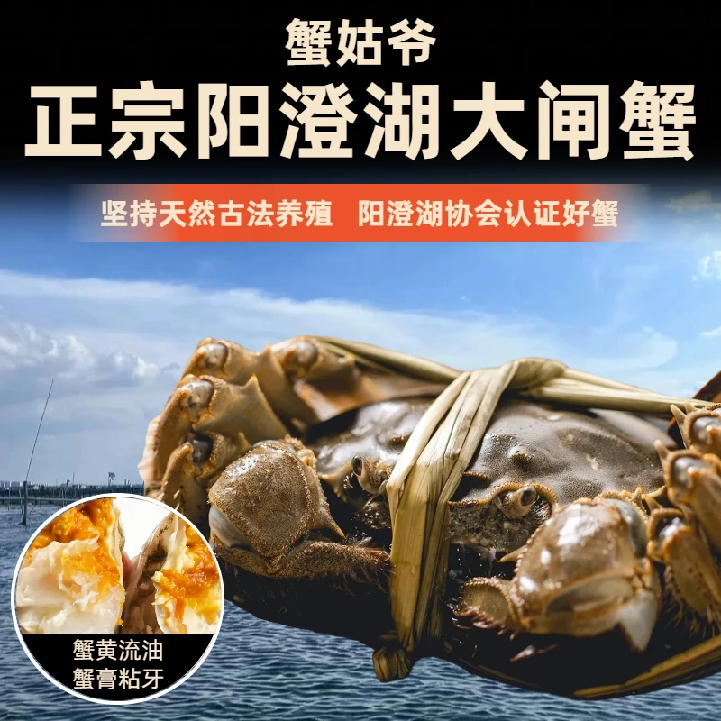 【活蟹】阳澄湖大闸蟹公3.5+母3.5两+2共6/8/10只礼盒装蟹姑爷塘养C