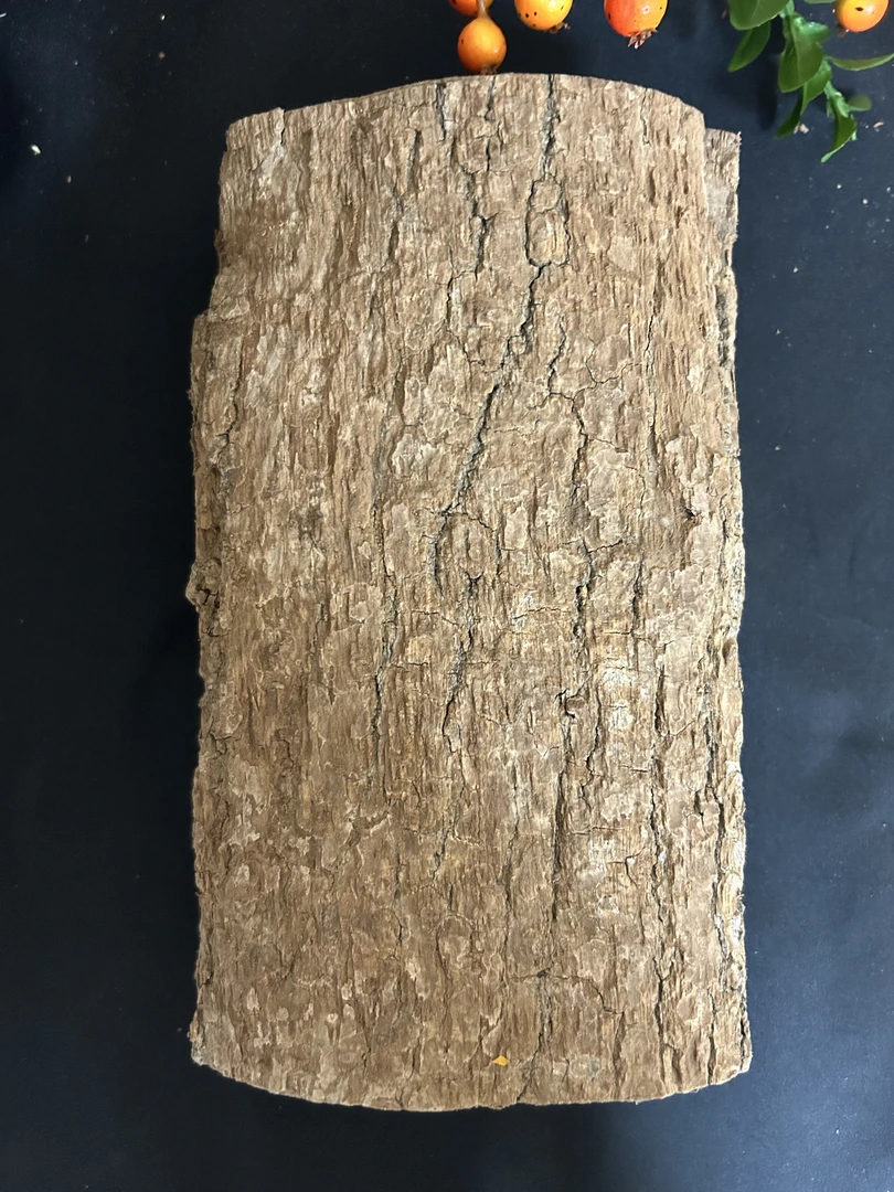 杜仲 煲汤食材（散装农产品）