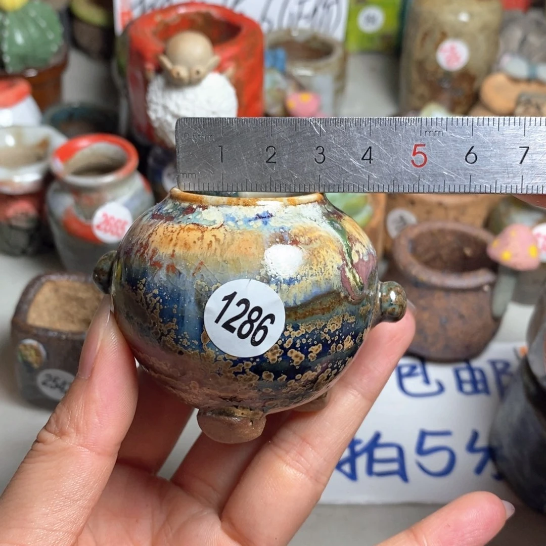 拍5送一个小礼物