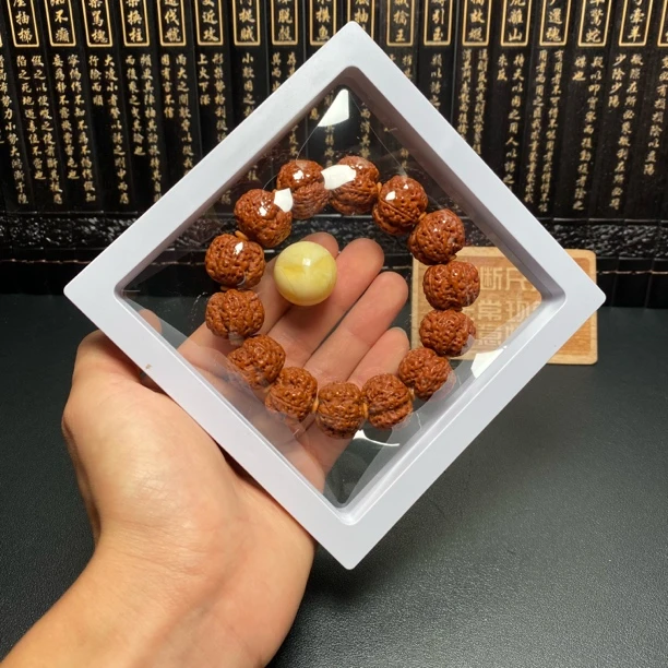 严选满肉梅花蜂王：4号