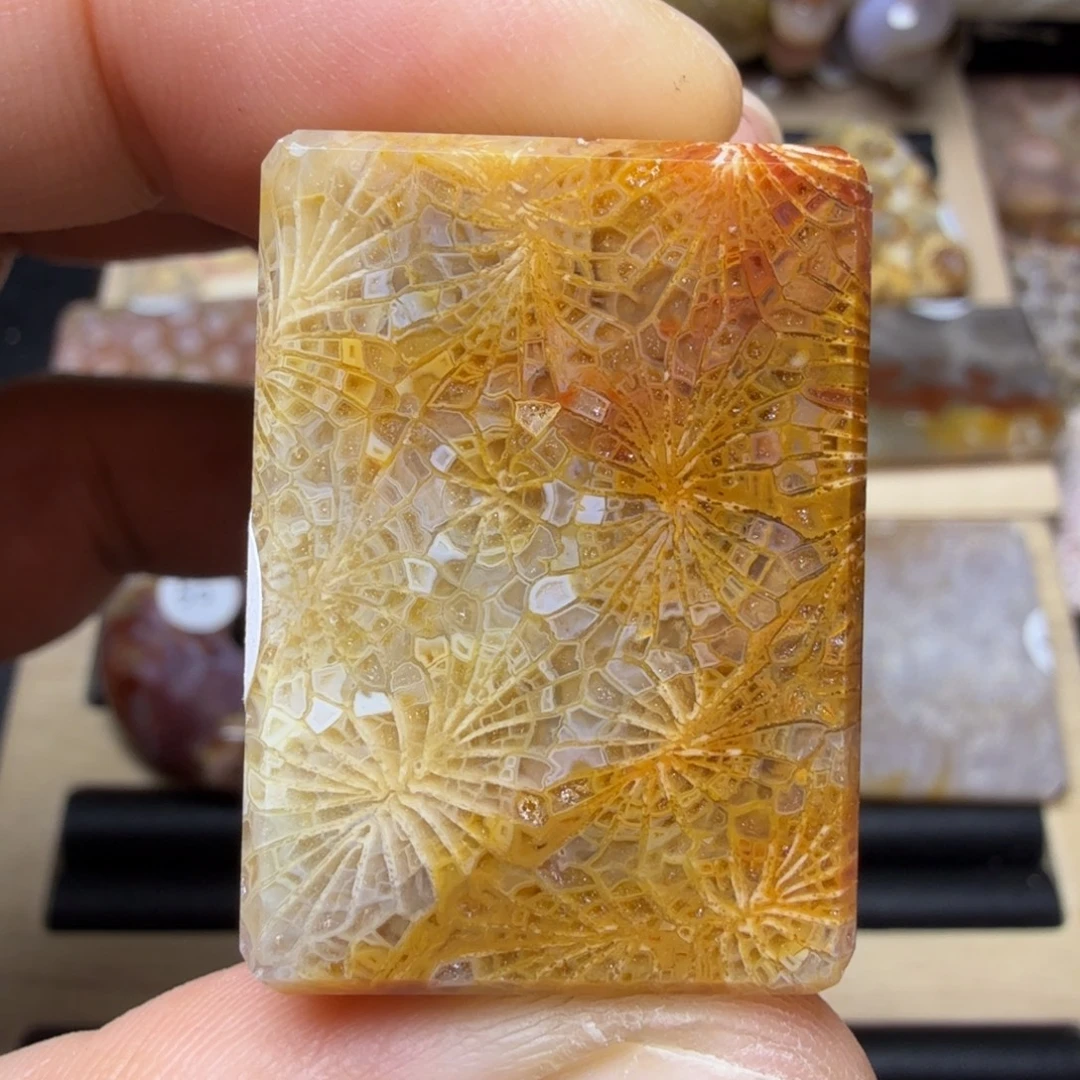 硅化玉未镶嵌纯天然色有机玉石保真色