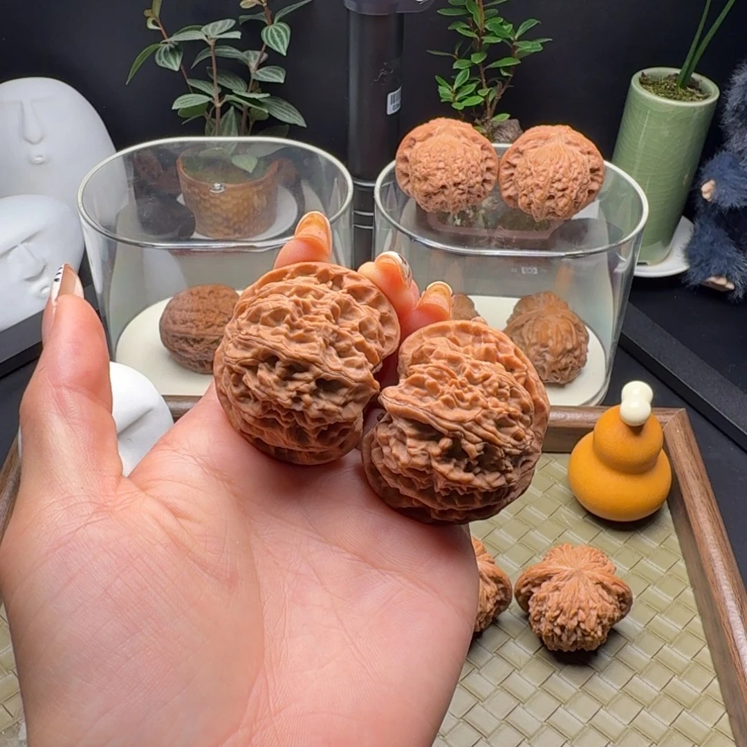 S***O吊坠龙脊菩提苹果园