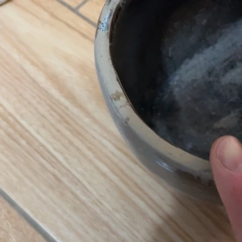 【闪购商品】杯S****a摆件摆件摆件摆件摆件不