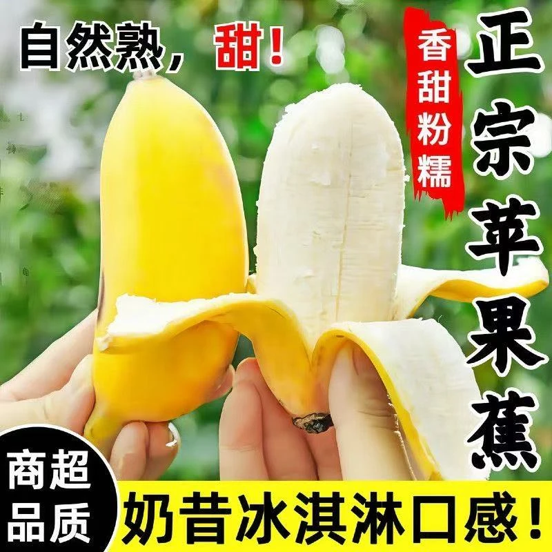 广西苹果蕉粉蕉香蕉芭蕉甜软糯应季新鲜水果产地直发