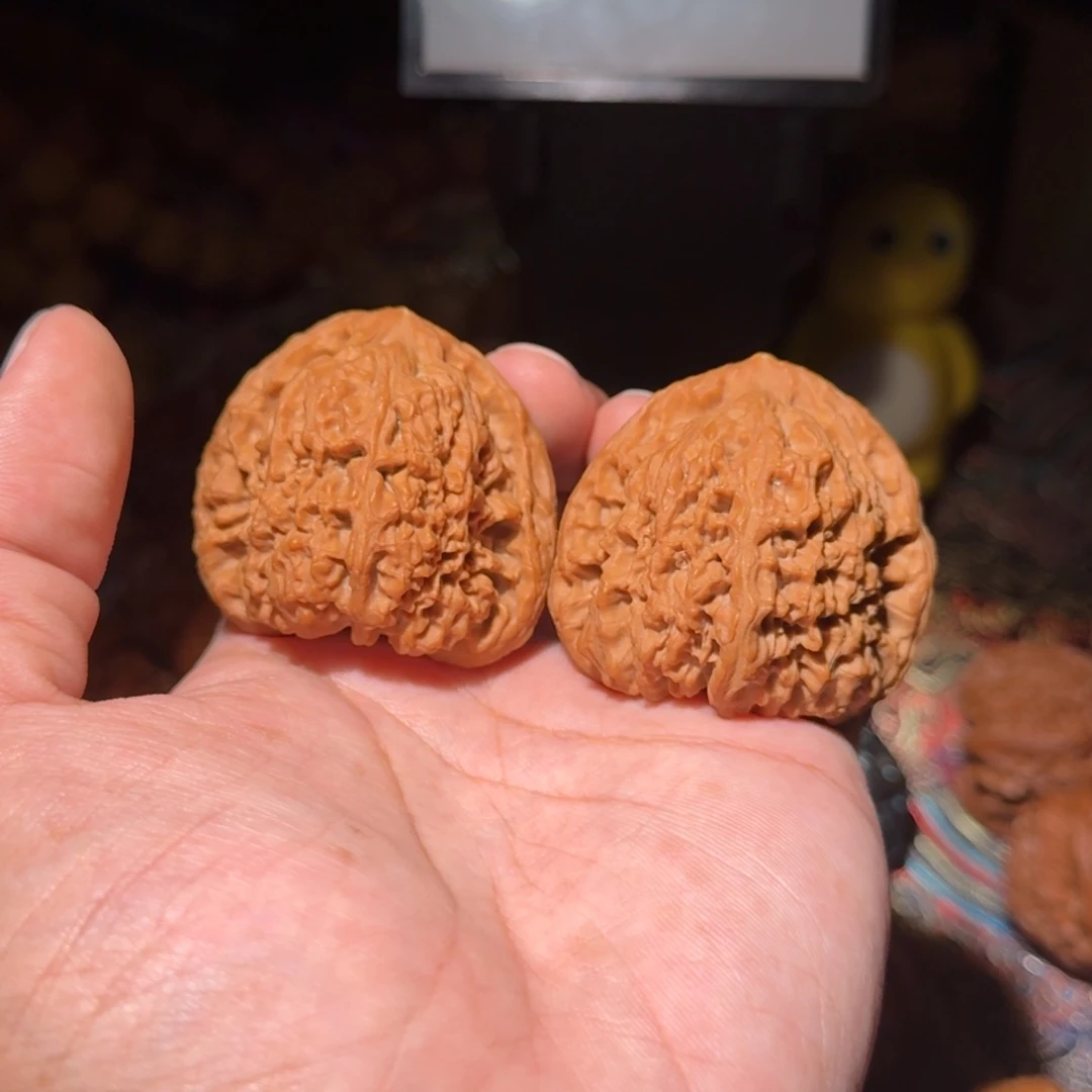 把件文玩核桃1255三角南疆，尺寸45 42 43