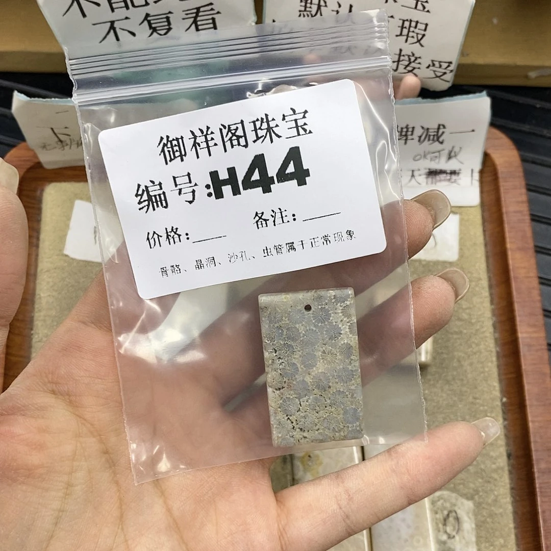 硅化珊瑚（珊瑚玉）未镶嵌颈饰清*