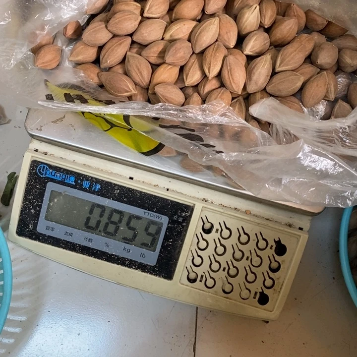吊坠橄榄核用****2這個問題