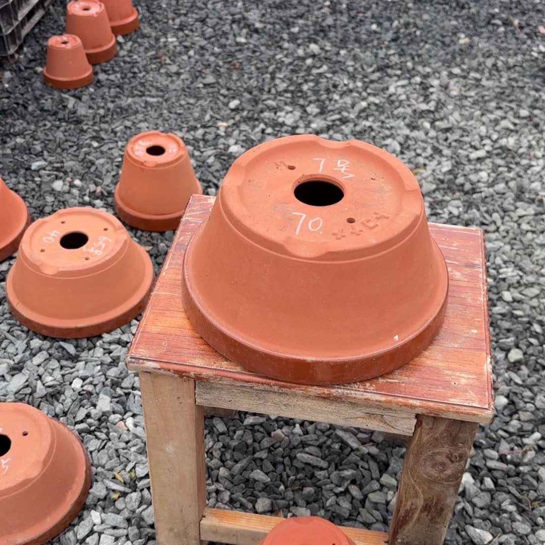 六*门7号浅2个，打孔6