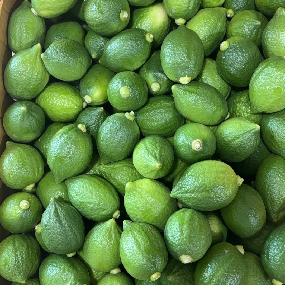 广东新鲜无籽香水柠檬二级果奶茶店专用