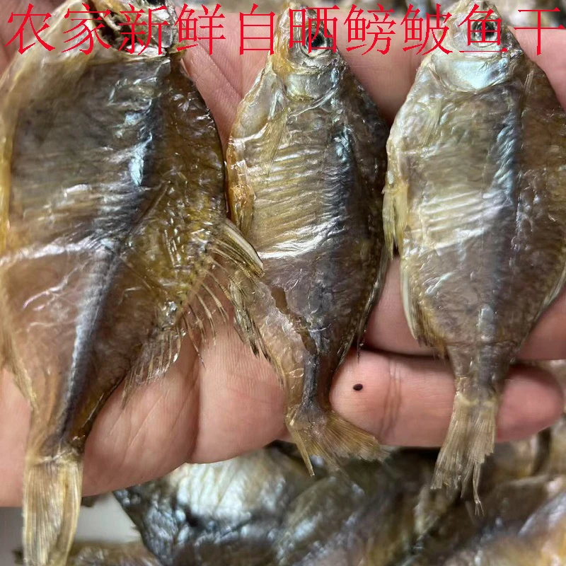 鳑鲏鱼干旁皮小鱼干小鳊鱼农家自制小石光皮淡水鱼阳干鱼自然晾晒