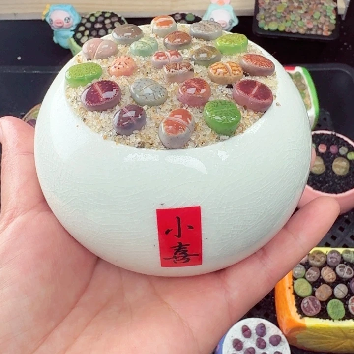 668零下地区记得拍保温箱满18包邮