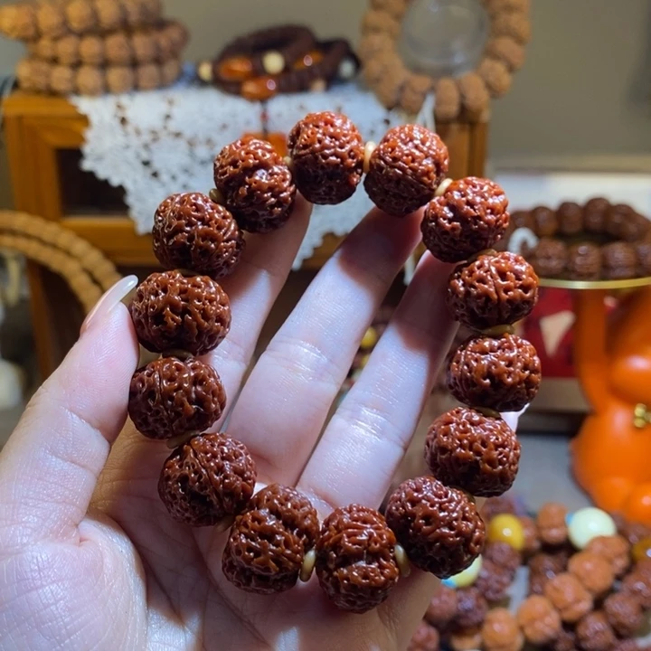 手串金刚菩提195玉华满肉一物