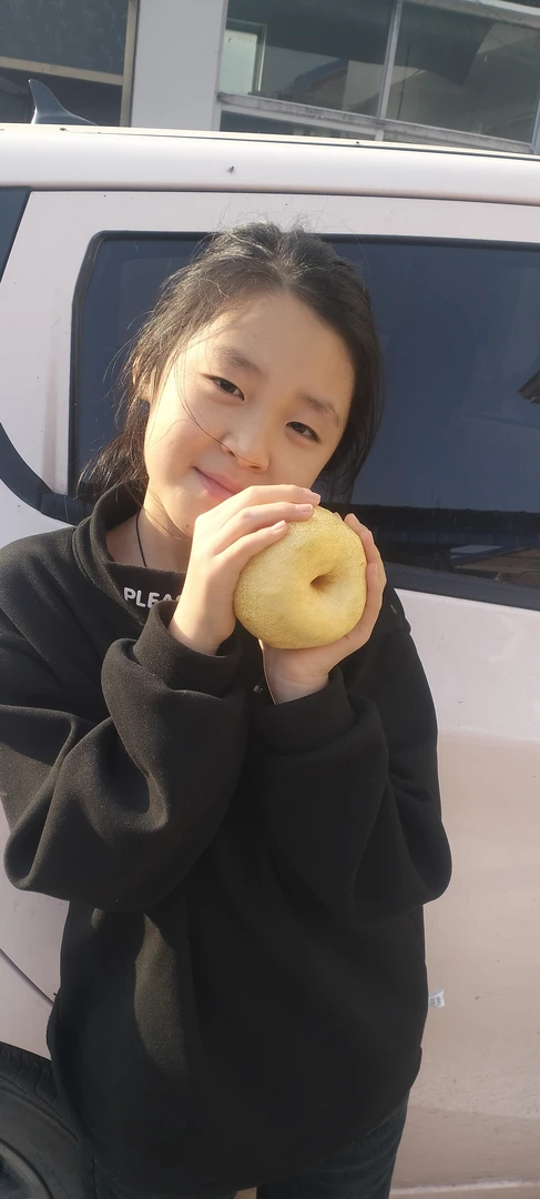 正宗砀山酥梨皮薄多汁新鲜现摘当季应季水果