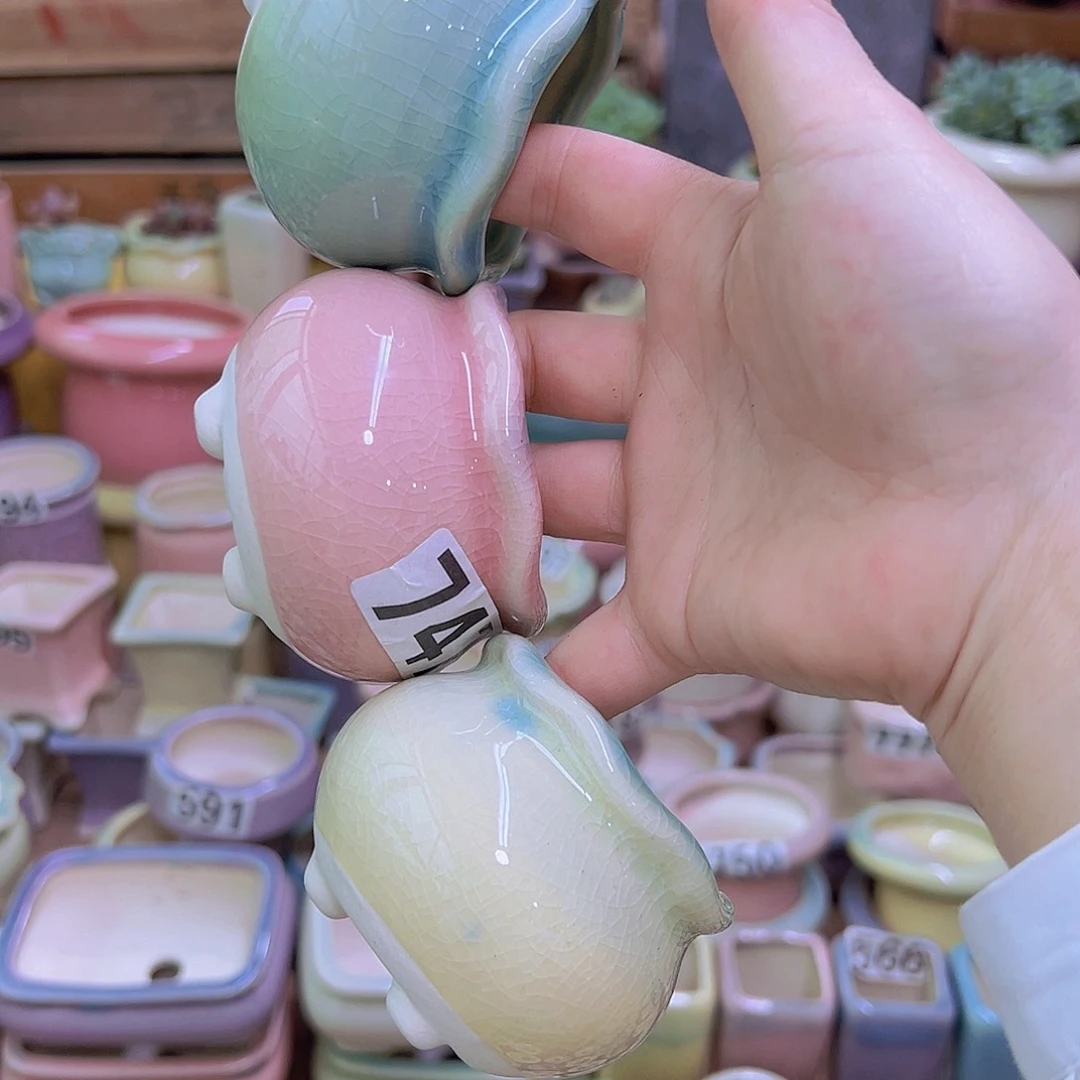 陶瓷花盆当场满12包邮