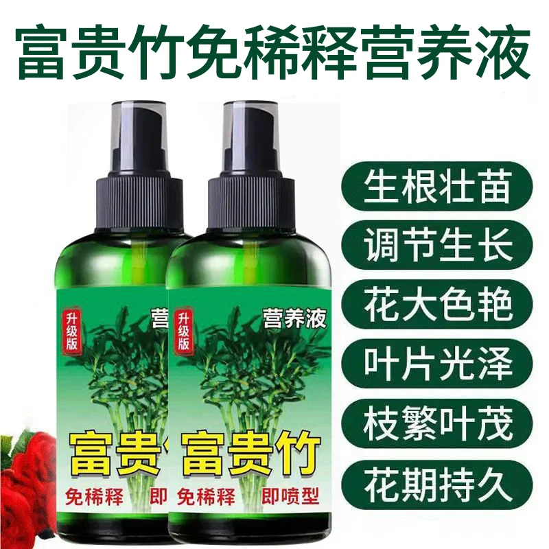 一喷绿富贵竹专用营养液转运观音竹子水培土培家用植物养花肥料-